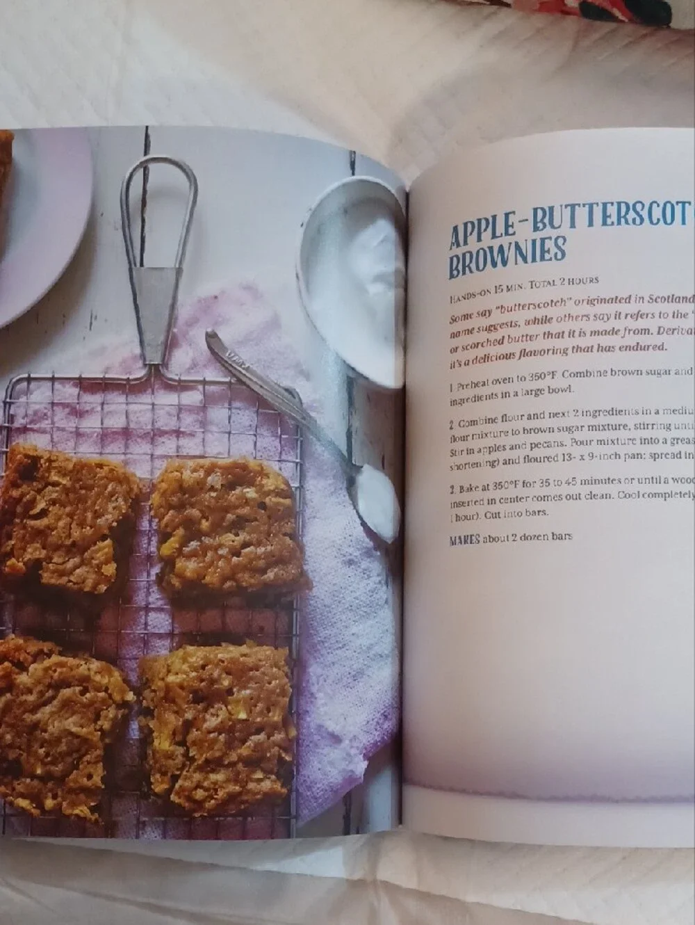 The Southern Cookie Book By Southern Living
